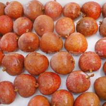 Frozen Fruit, Cheapest Frozen Lychee, IQF Lychee, USD1700 per Ton