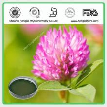 Red Clover extract Total Isoflavones