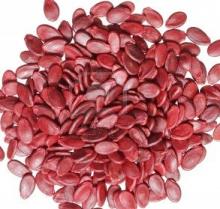 DRIED WATERMELON SEEDS