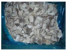 frozen oyster mushroom
