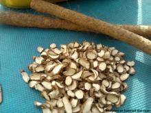 Chinese Yam Extract with Cortex