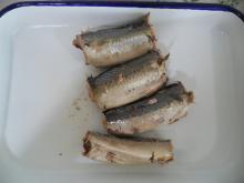 Canned  mackerel  in  brine  425g/280g