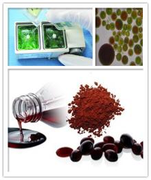 2% 3% Astaxanthin Powder