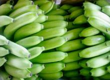 SPECIAL AND FRESH BANANA