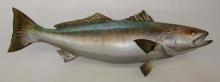 Atlantic  Salmon ,  Trout , Sea bass