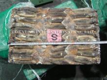 Frozen Illex argentinus squid