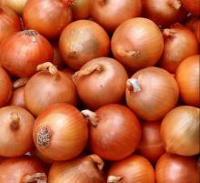 2013 fresh yellow onion