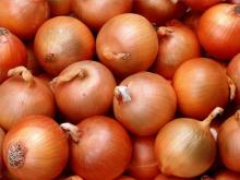 Fresh Yellow Onion