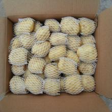 FResh  Holland  Potatoes
