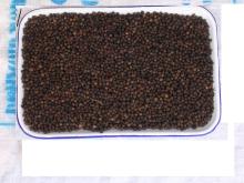 black pepper/desiccated coconut high fat