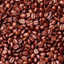 robusta coffee bean
