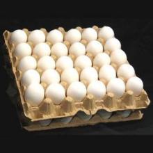 White Chicken Eggs