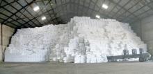 Beet Sugar  Pur  White Refined