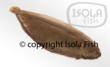 IQF Dover Soles (Solea solea), gutted