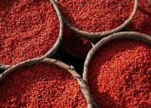  Dried  Wolfberry