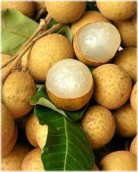 Longan fruit