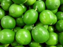 FRESH GREEN LIME