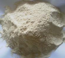pungent food ingredient seasoning garlic powder