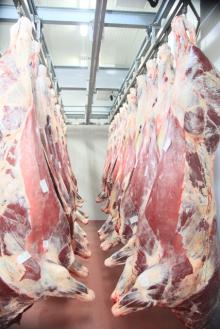 Beef carcases, various grades and weights