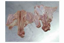Frozen  Rabbit   Meat 