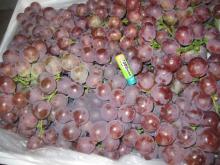 Chinese fresh red grapes for sale