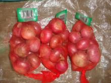 Provide chinese exports fresh onions
