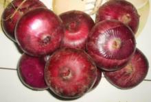 fresh onions