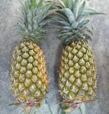 Pine apple