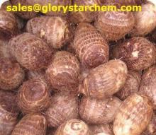 Konjac Gum/Flour