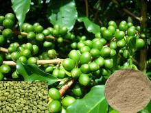 Green Coffee Bean Extract