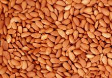  Almond  P.E.