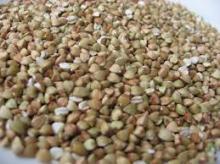 Buckwheat