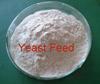 brewers Yeast (feed yeast)