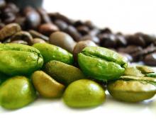 Supply Green Coffee Bean Extract Powder