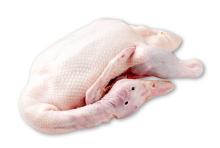 Frozen Whole Ducks