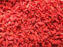 Wolfberry Dry Fruit