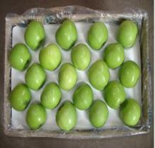 Fresh Green Apple