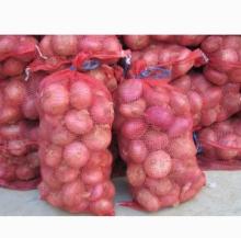Red Onion