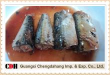 Canned mackerel in tomato sauce