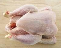  Halal  and  Non   Halal  Whole Chicken and Chicken Parts