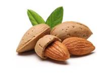 Sweet almond  oil 