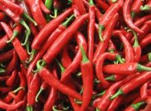 Fresh Chili
