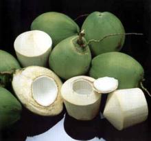 Young coconut