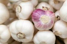 Garlic,ginger, Carrot, Onion