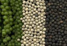 QUALITY HERBS AND SPICES