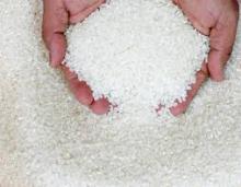 Wholesale of Best quality Thai Long Grain White Rice 5% Broken