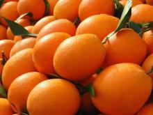 Fresh Valencia Oranges