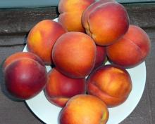 Fresh Peaches available
