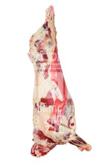 Beef carcass