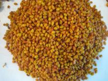 Seabuckthorn Seed Oil,Seabuckthorn Seeds
